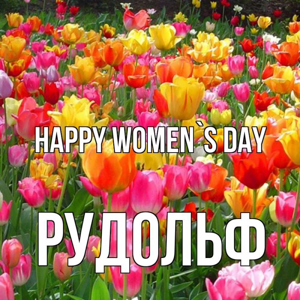 Greetings card с именем, Рудольф happy women`s day на международный женский день Greetings with text for free download 